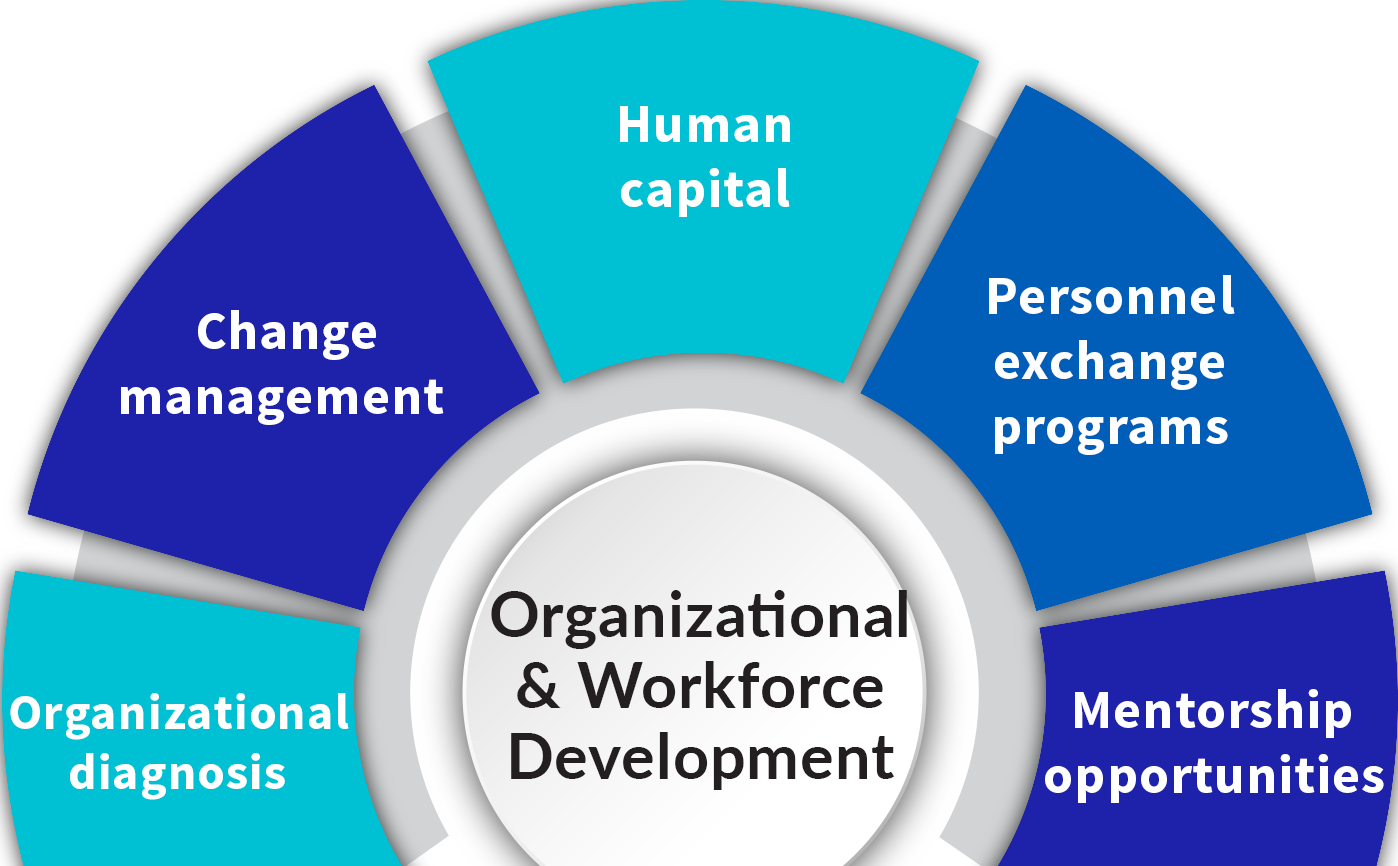 Organizational and workforce development 