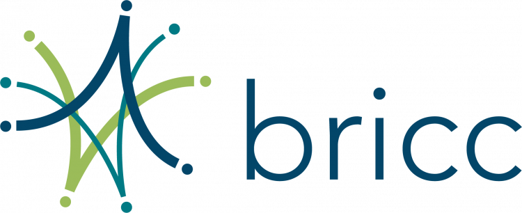 BRICC logo
