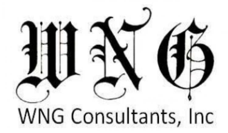 WNG consultants logo